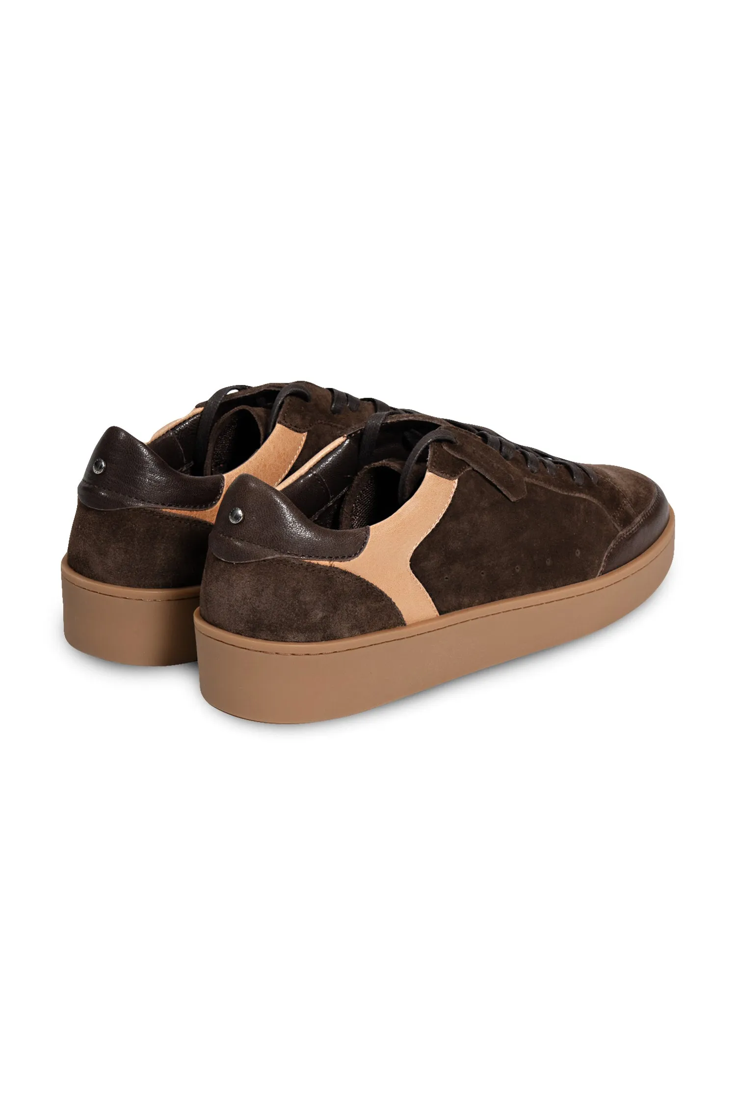 CANALI Dark Brown Suede Sneaker