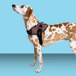 Zee.Dog Fly Harness Vortex Size 2